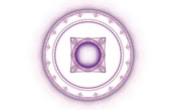 2014 04 30 Webs and Things 21-white.jpg